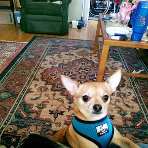 Meet your Posher, Evelyne